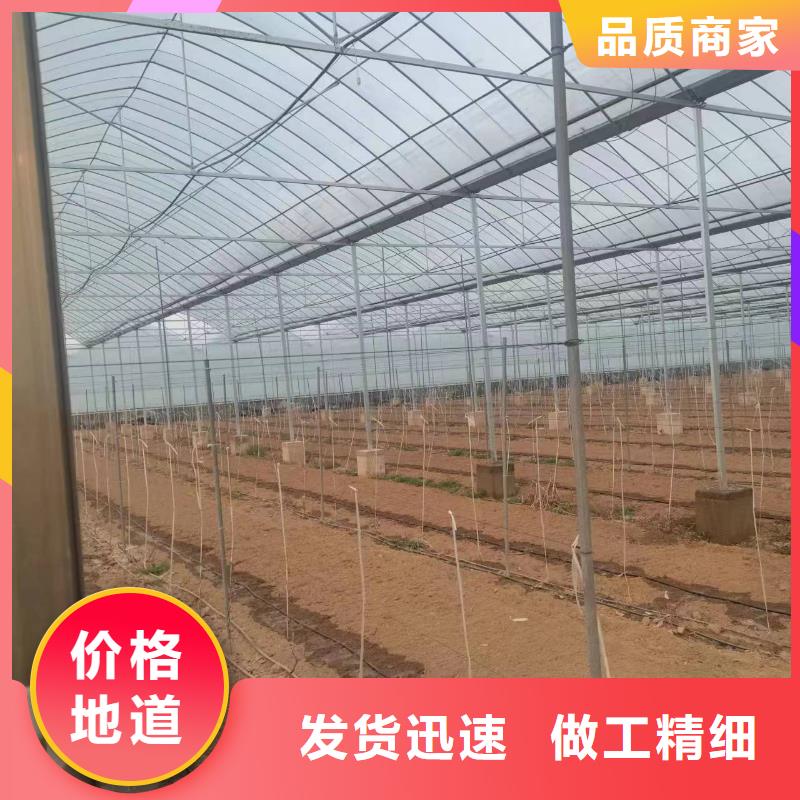 温室大棚,几字钢大棚好产品价格低