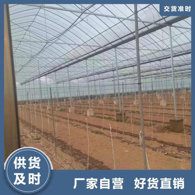 温室大棚,几字钢大棚好产品价格低