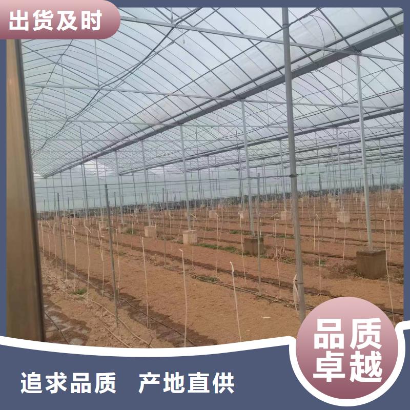 温室大棚,几字钢大棚好产品价格低