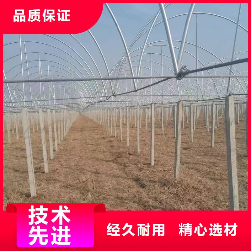 温室大棚热镀锌光伏支架真正让利给买家