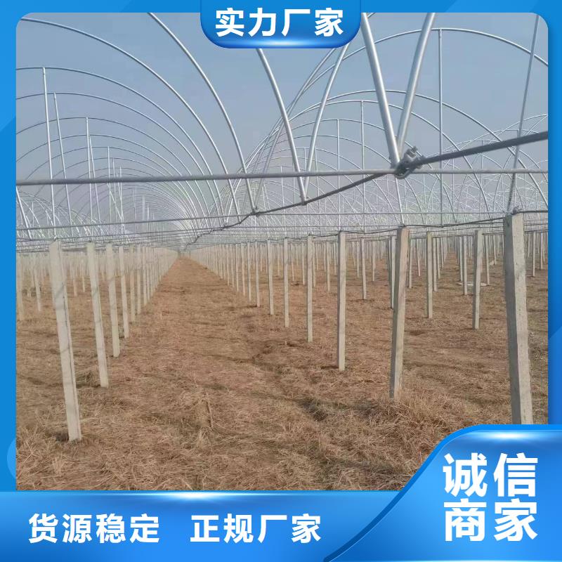 温室大棚,几字钢大棚好产品价格低
