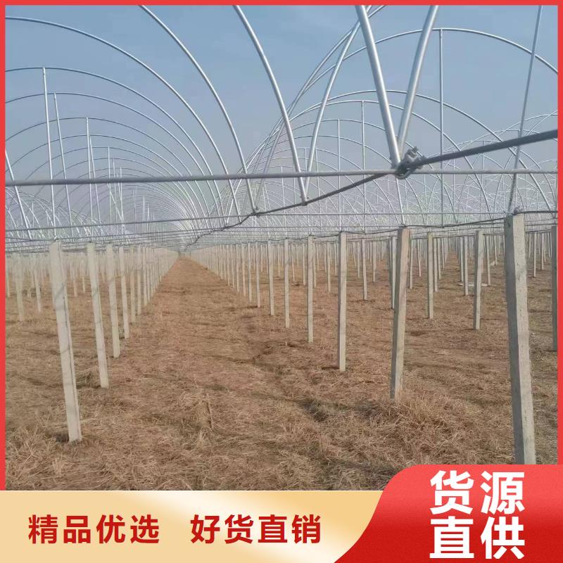 温室大棚热镀锌光伏支架真正让利给买家