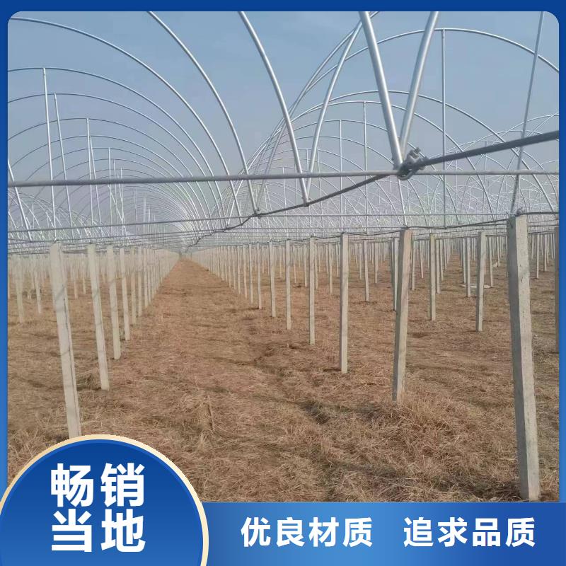 温室大棚,几字钢大棚好产品价格低