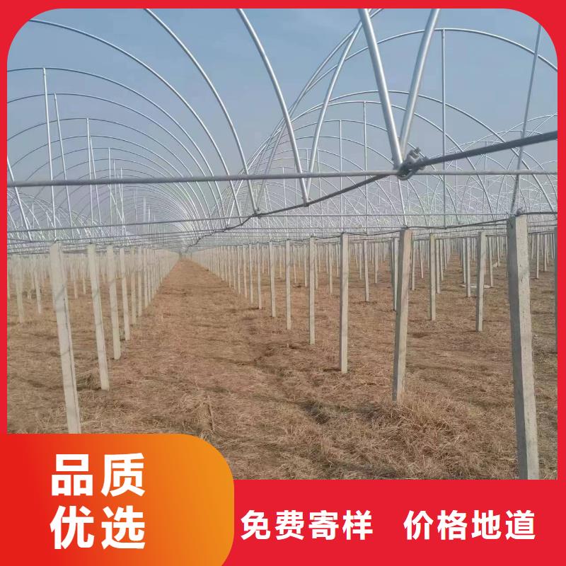 温室大棚,几字钢大棚好产品价格低