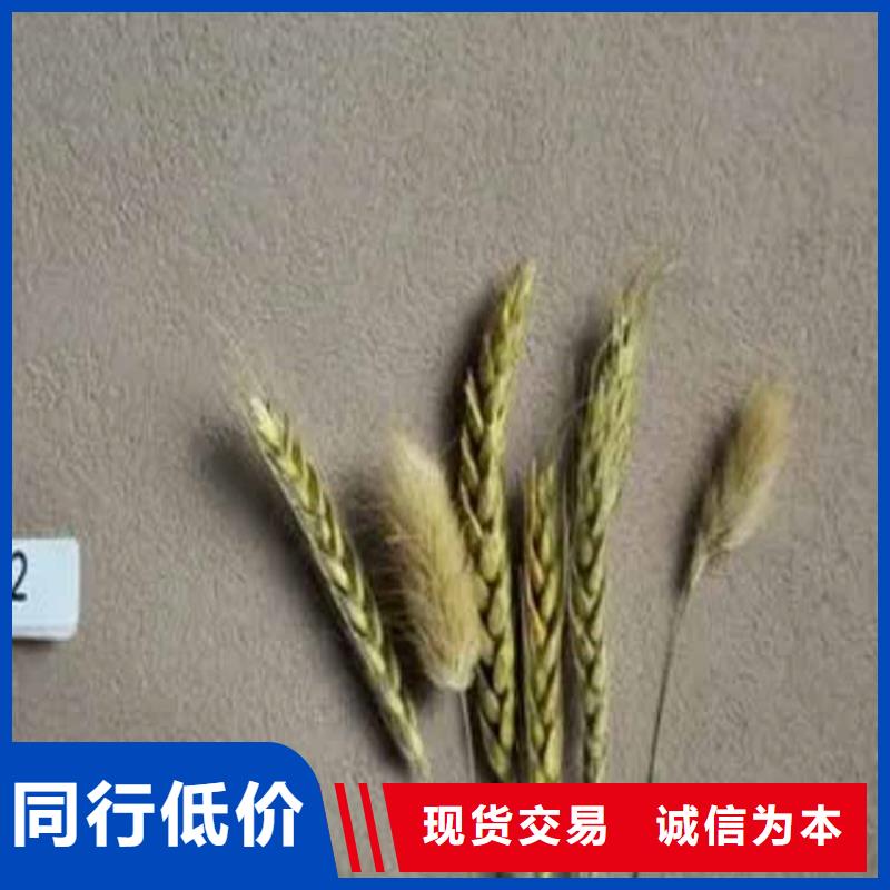 灰泥 雅晶石厂家诚信经营质量保证