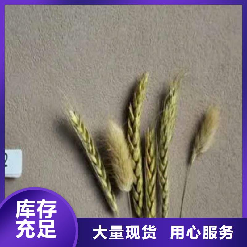 灰泥质感漆批发品质卓越