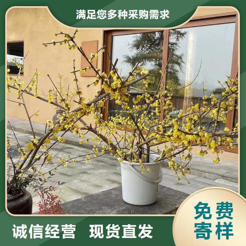 稻草漆_泥巴外墙涂料产品细节参数