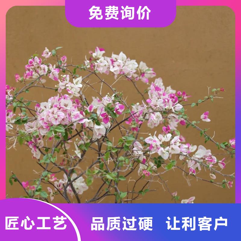 稻草漆稻草漆专卖店现货直供