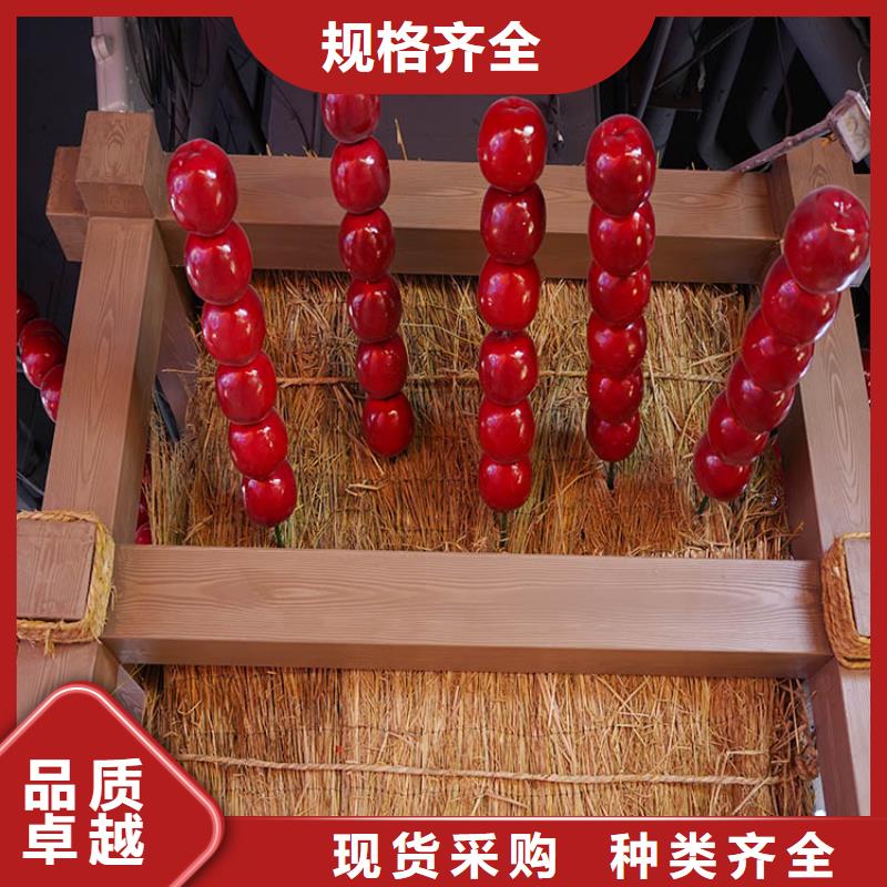 钢结构金属面木纹漆厂家施工#不锈钢#长廊花架#廊架护栏