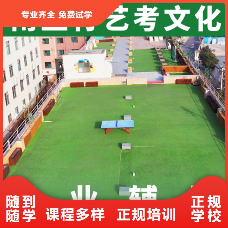 艺考生文化课高中物理补习专业齐全