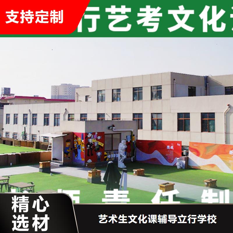 艺考文化课,高考冲刺辅导机构课程多样