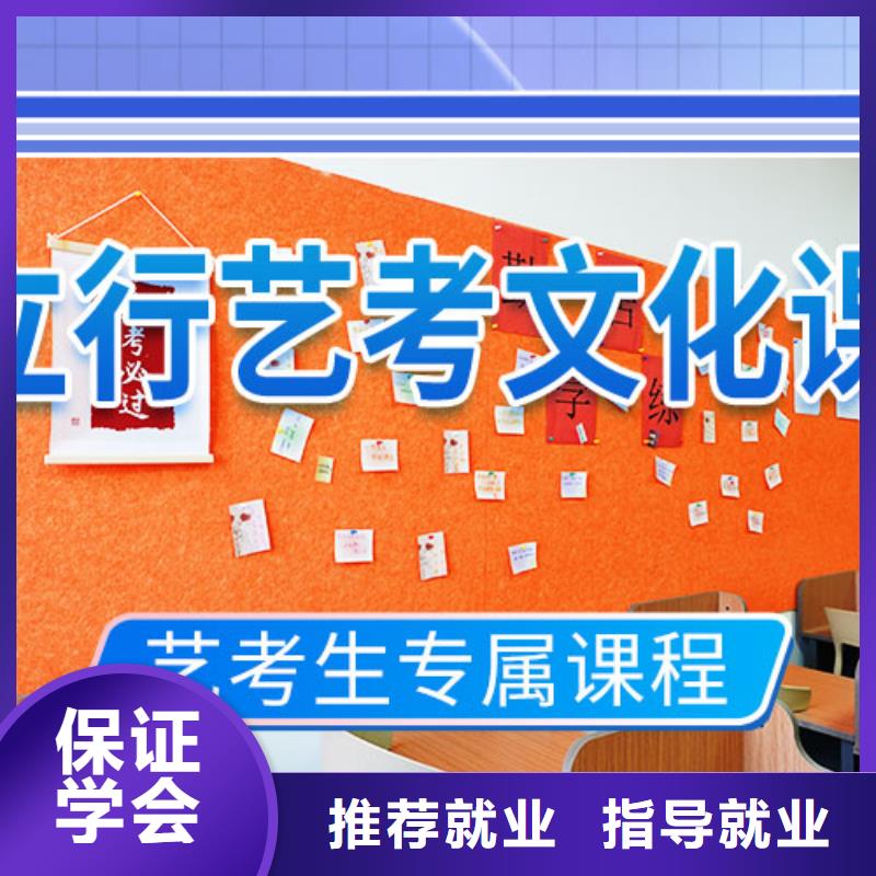艺考文化课冲刺高考书法培训手把手教学