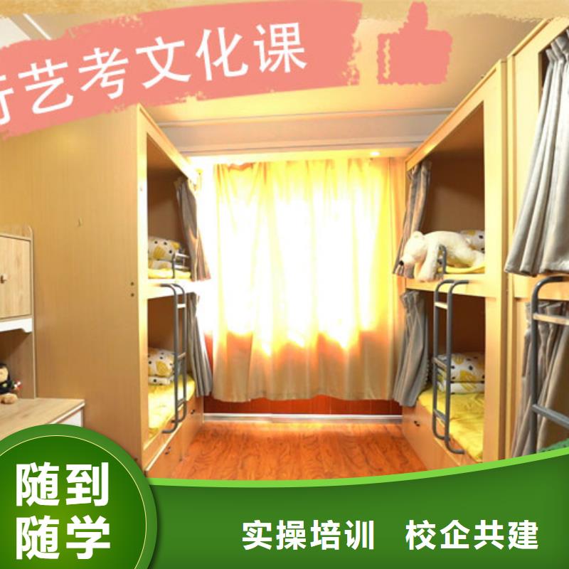 艺考生文化课补习学校-【舞蹈艺考培训】学真本领