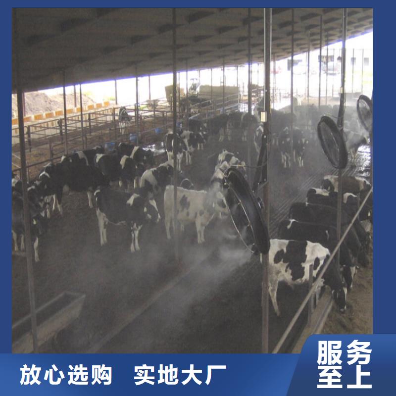 猪舍喷雾消毒降温系统来图来样定制