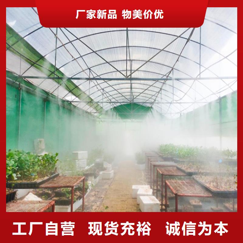 厂家主打产品生猪养殖场车辆消毒通道欢迎询价