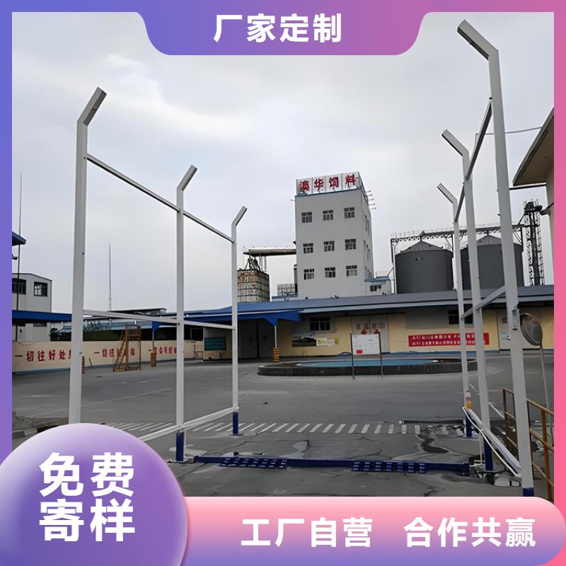 生猪养殖场车辆消毒通道厂家款式多样