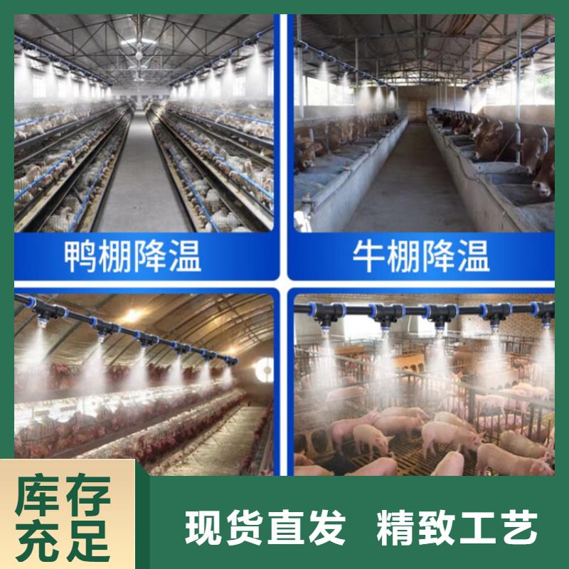 买微雾消杀设备到富通达工地冲洗喷淋设备