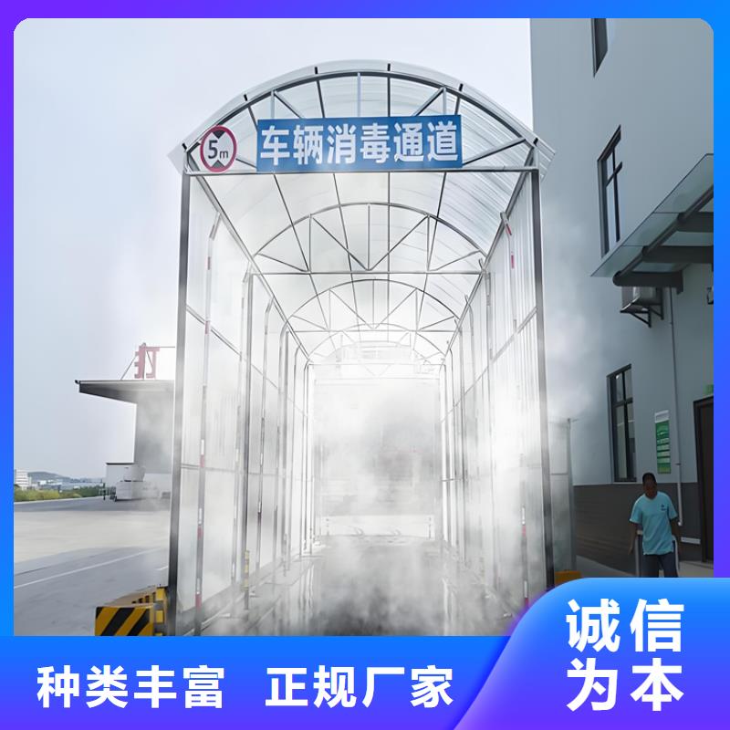 屠宰场车辆消毒通道实体厂家成本低