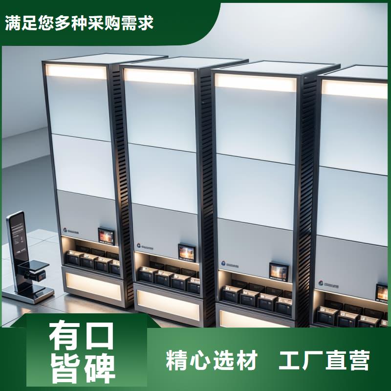 重型模具平行出入库升降柜欢迎咨询星龙