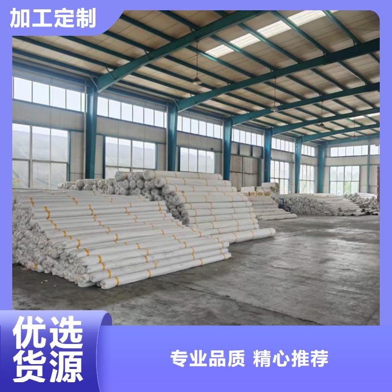 钢塑土工格栅全国发货