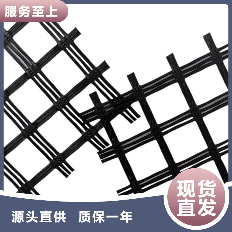 钢塑土工格栅全国发货