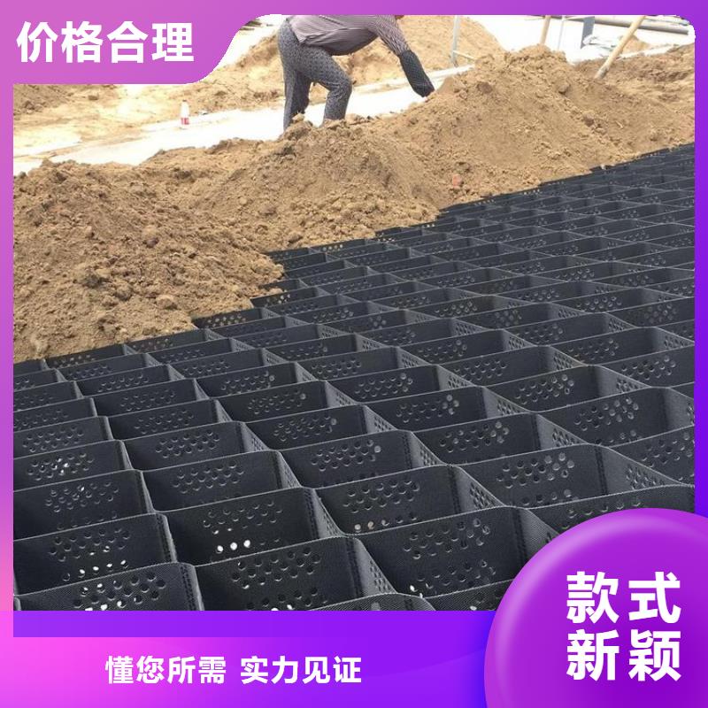土工格室土工格室价格有优势