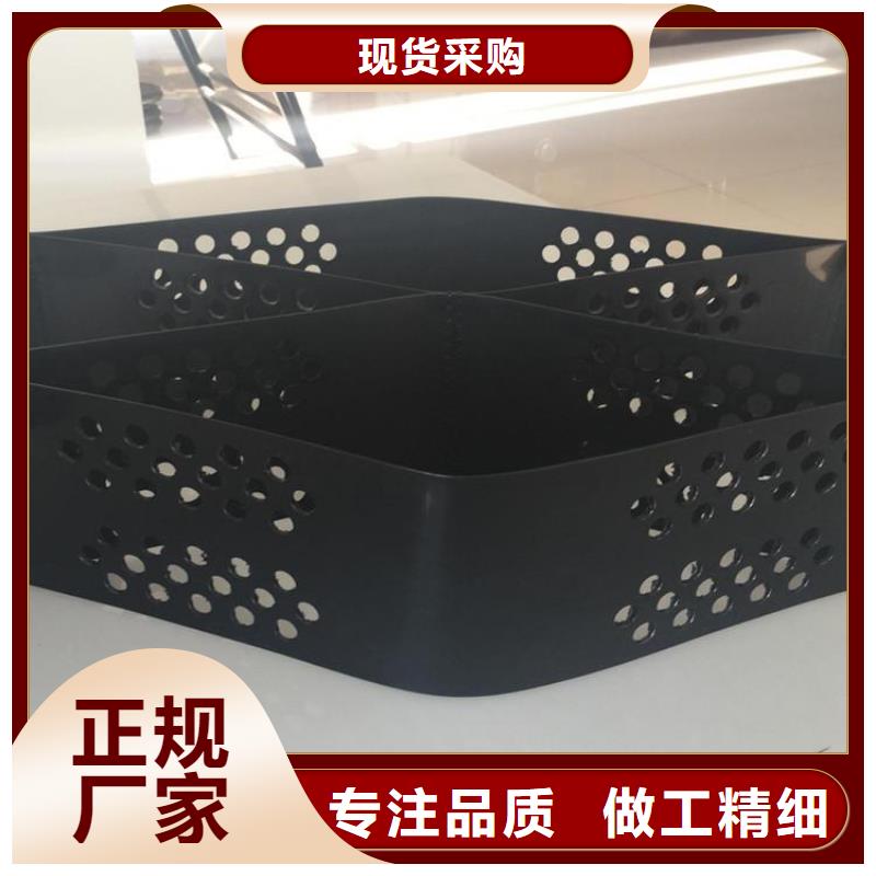 土工格室铆接土工格室服务周到