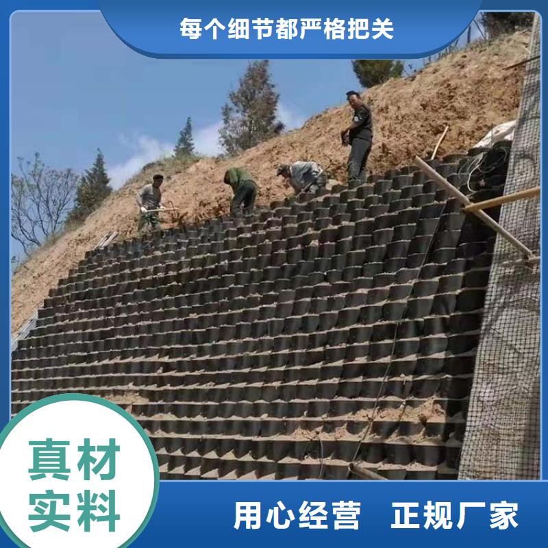 土工格室土工格室规格齐全实力厂家