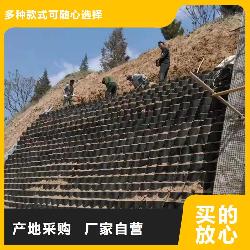 土工格室土工格室价格有优势