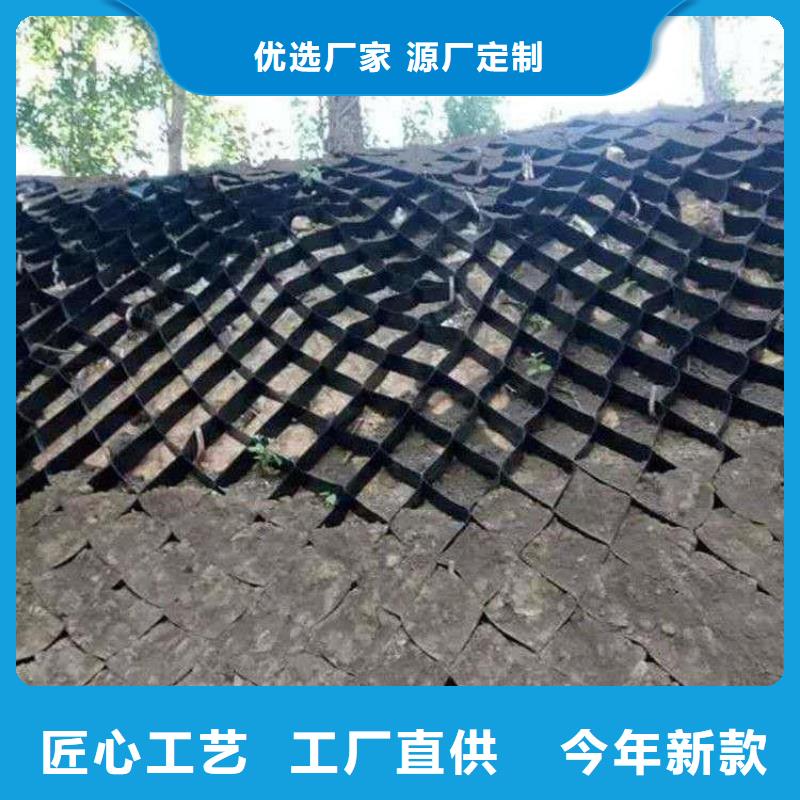土工格室土工格室价格有优势