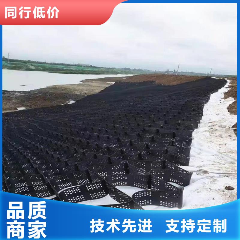 土工格室土工格室规格齐全实力厂家