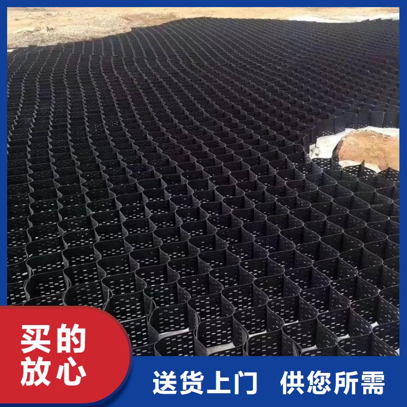 土工格室土工格室规格齐全实力厂家