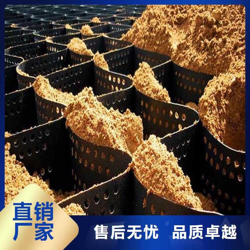 土工格室土工格室规格齐全实力厂家