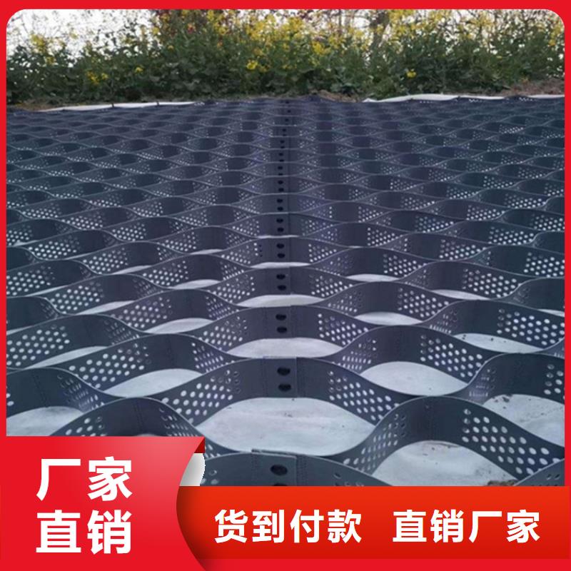土工格室蜂巢土工格室可接急单