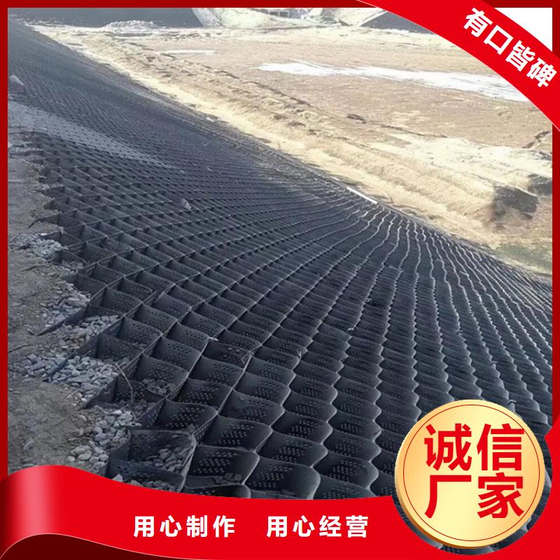 土工格室蜂巢土工格室购买的是放心