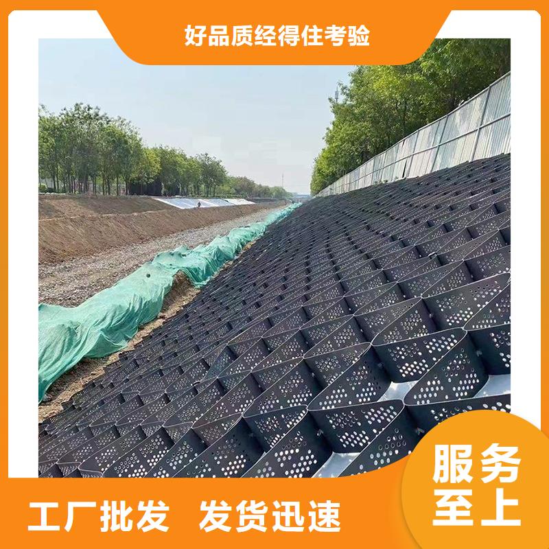 土工格室土工格室规格齐全实力厂家