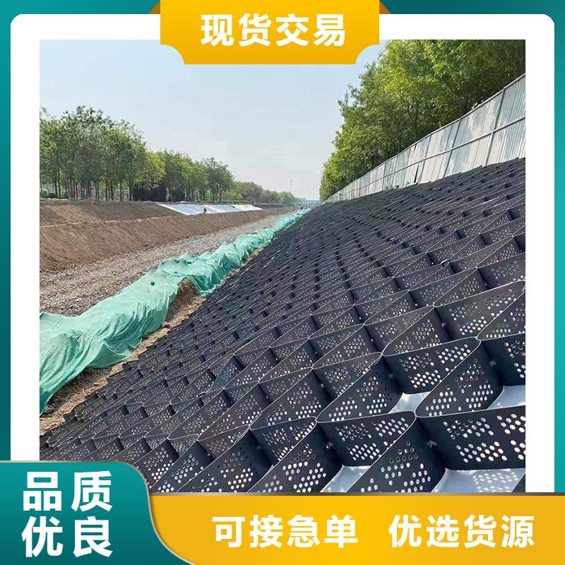 土工格室蜂巢土工格室可接急单