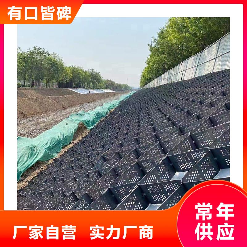 土工格室土工格室价格有优势