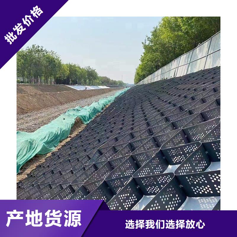 打孔土工格室量大价优