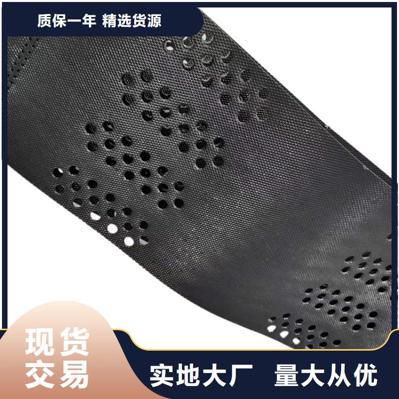 土工格室蜂巢土工格室可接急单