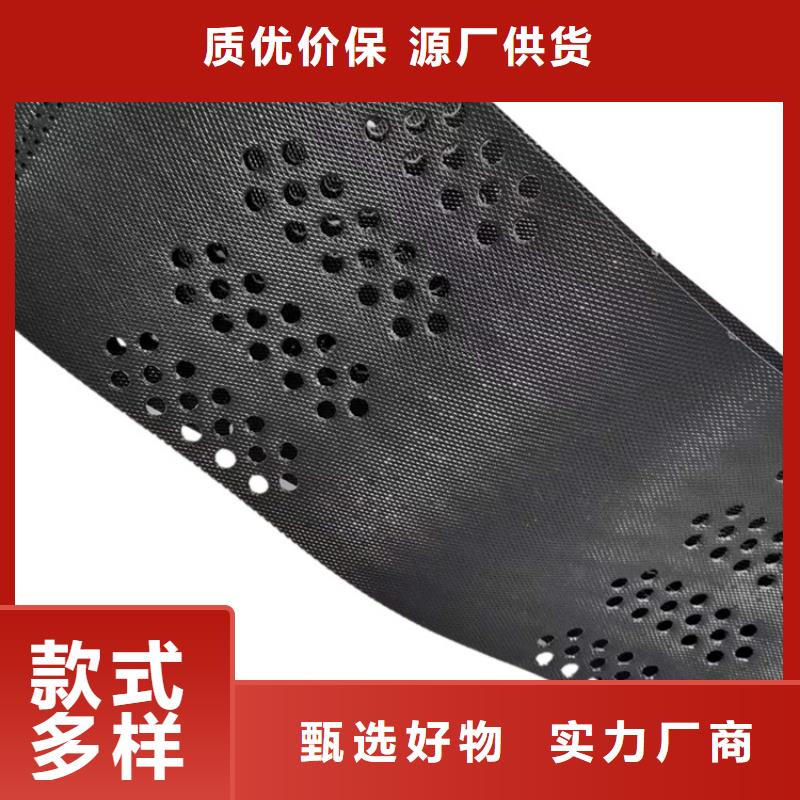 土工格室可定制