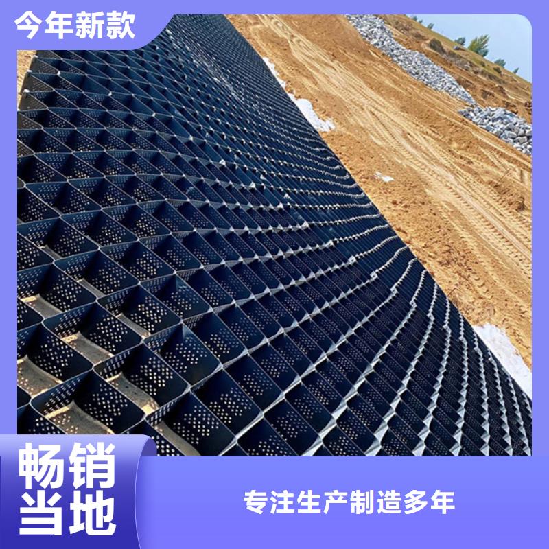 打孔土工格室量大价优