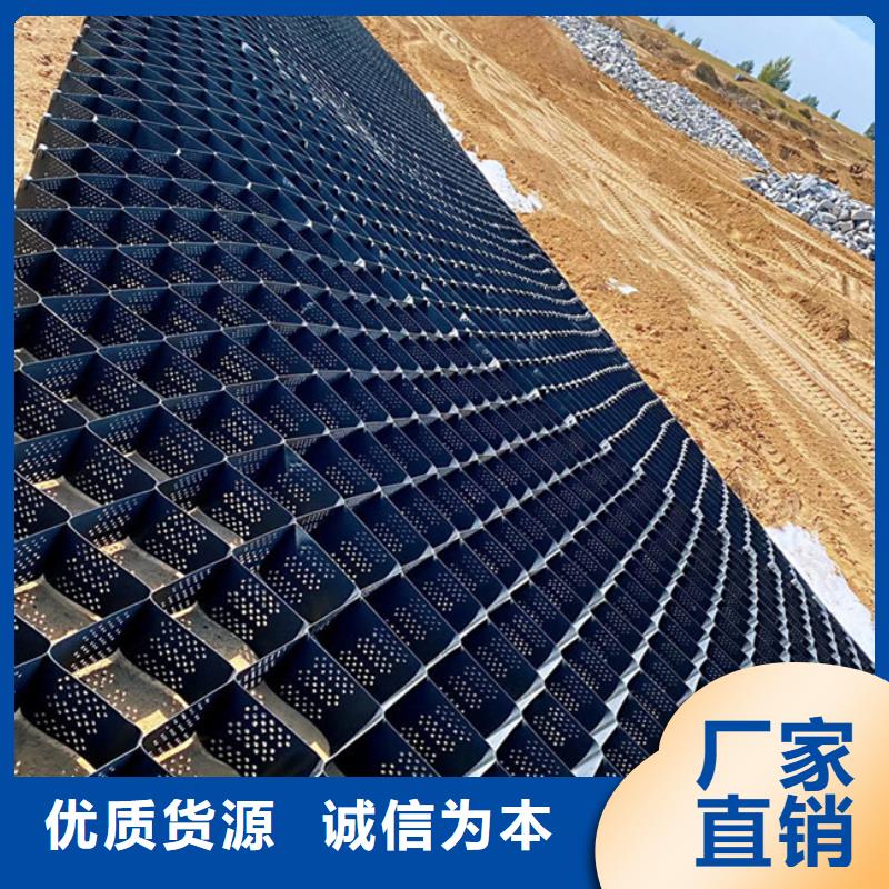 土工格室蜂巢土工格室购买的是放心