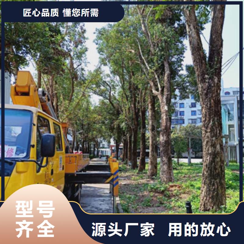 云梯车租赁品质过硬