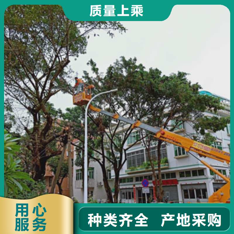 云梯车租赁满足客户需求