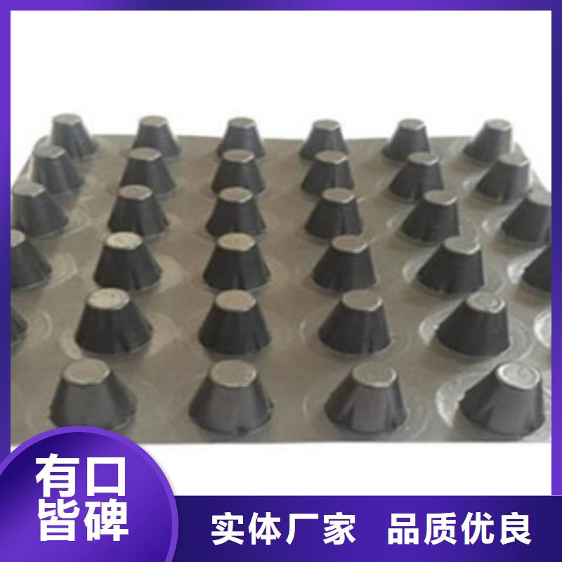 塑料排水板塑料排水板HDPE凹凸滤水板优质货源