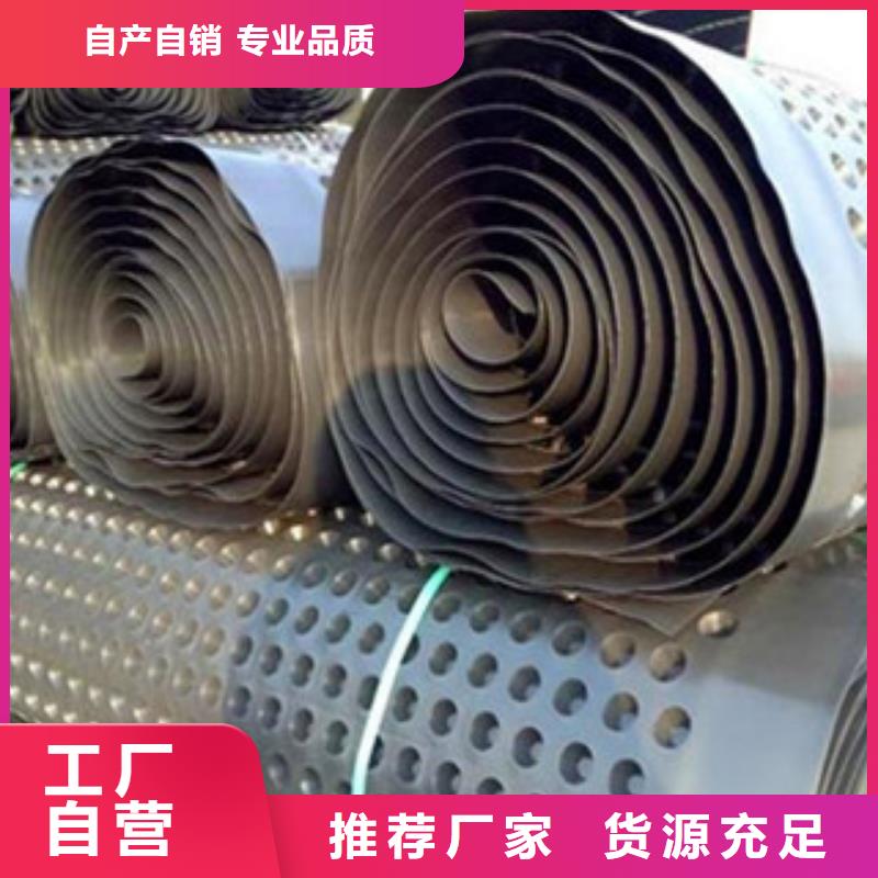 塑料排水板塑料排水板HDPE凹凸滤水板优质货源