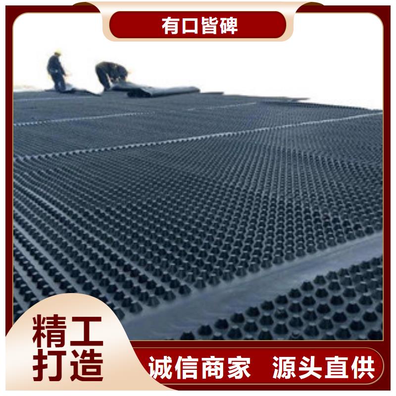 塑料排水板-排蓄水板土工布种类齐全