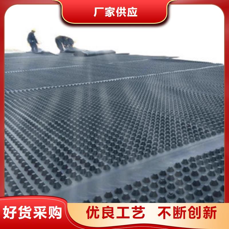 塑料排水板塑料排水板HDPE凹凸滤水板优质货源