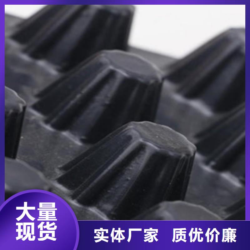 塑料排水板屋顶绿化排水板土工布好货直销